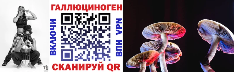 Псилоцибиновые грибы Cubensis  Когалым 