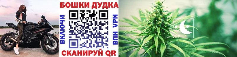 Канабис план Когалым